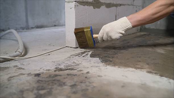 SJ Waterproofing Pros Basement Waterproofing coverage map for Kendall, NY and surrounding area